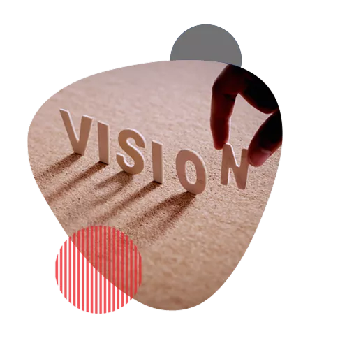 vision
